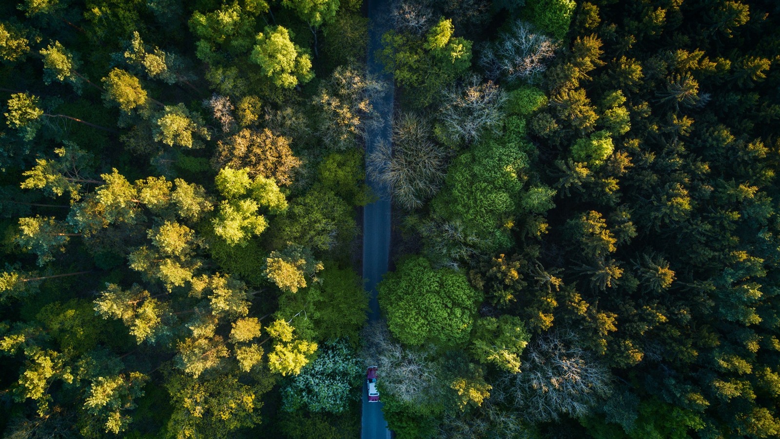 Nature / Landscapes