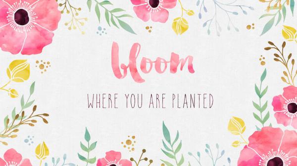 bloom where you are planted hd girly