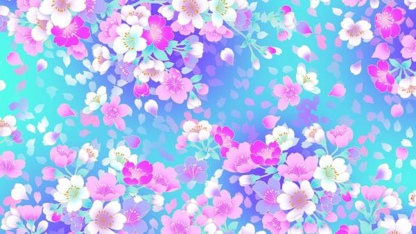 colorful flowers hd girly