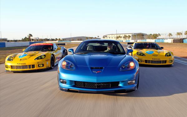 Free 2010 corvette racing sebring cars wallpaper download