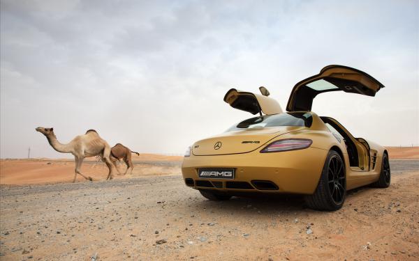 Free 2010 mercedes benz sls amg desert gold 8 wallpaper download