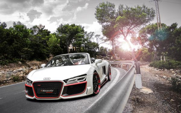 Free 2014 audi r8 v10 spyder regula tuning wallpaper download