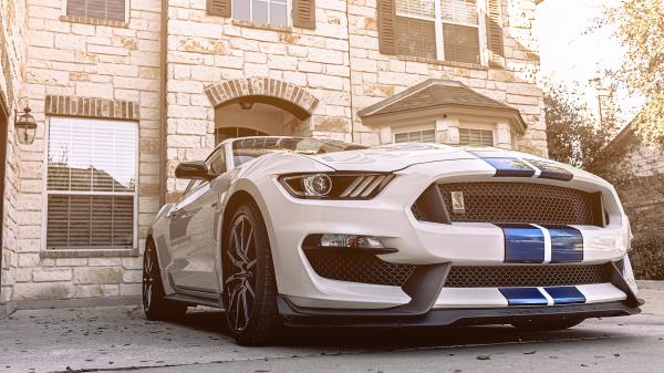 Free 2018 ford mustang shelby gt350 wallpaper download