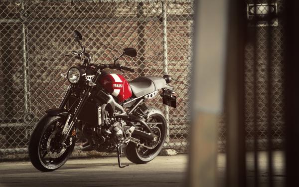 Free 2018 yamaha xsr900 4k wallpaper download