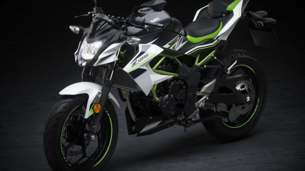 Free 2019 kawasaki z125 5k wallpaper download