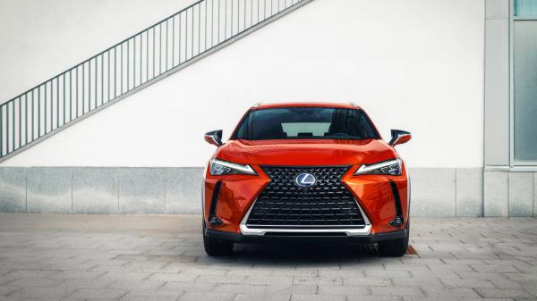 Free 2019 lexus ux 250h 4k wallpaper download