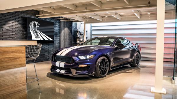 Free 2019 shelby gt350 4k wallpaper download