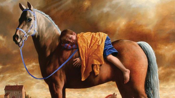 Free a boy is sleeping on horse hd horse wallpaper download