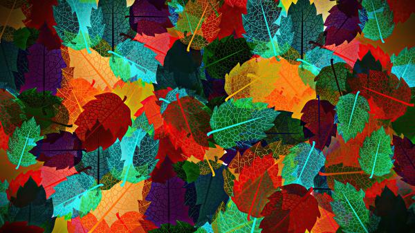 Free abstract autumn leaves 4k hd abstract wallpaper download