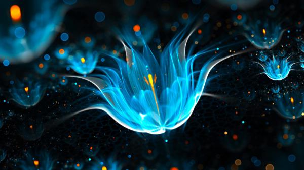 Free abstract fractal hd abstract wallpaper download