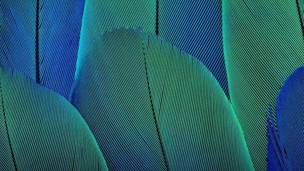 Free abstract leaves wallpaper download