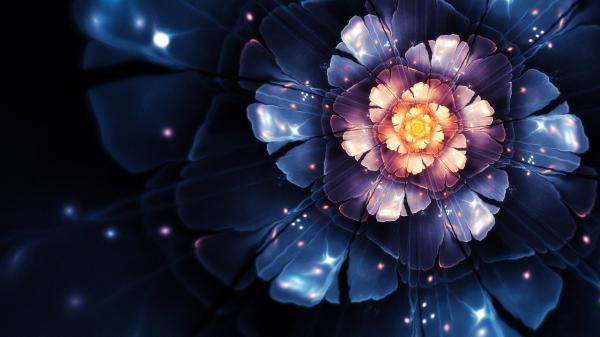 Free abstract pretty flower 4k hd wallpaper download