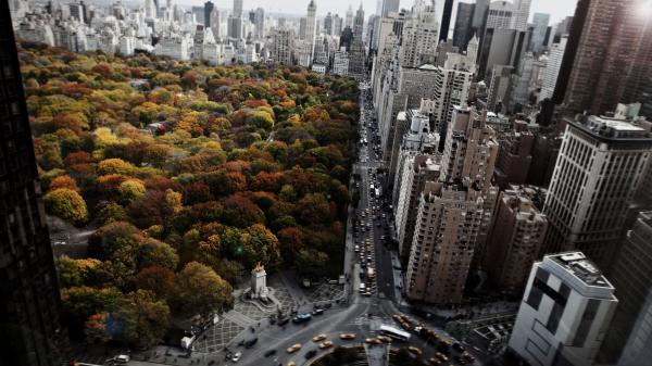 Free aerial view of cityscape and trees 4k hd new york wallpaper download