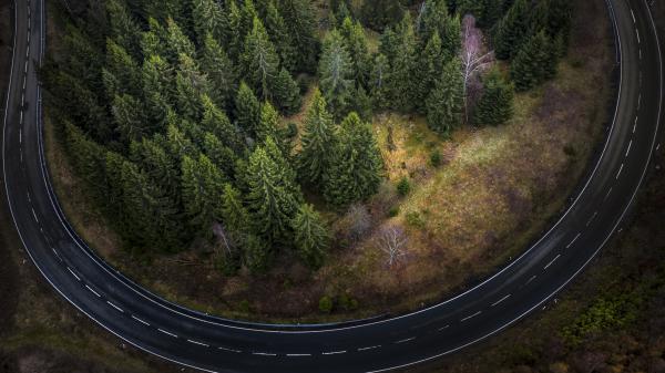 Free aerial view of fir tree surrounded by road 4k 5k hd travel wallpaper download