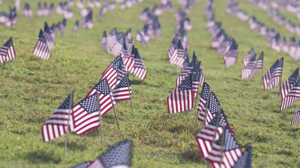 Free american flag on grass 4k 5k hd veterans day wallpaper download