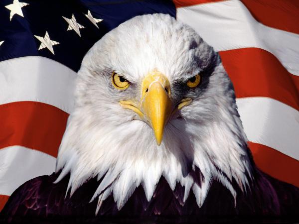 Free american patriot wallpaper download