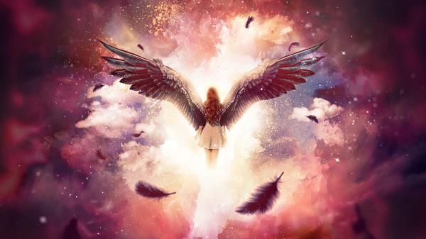 Free angel wings wallpaper download