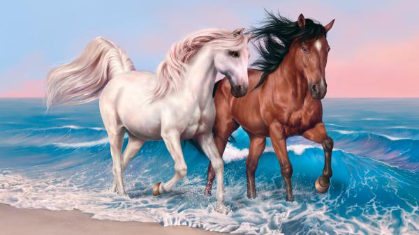 Free art of white and brown horses on seashore hd horse wallpaper download