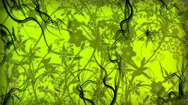 Free artistic green flowers hd abstract wallpaper download