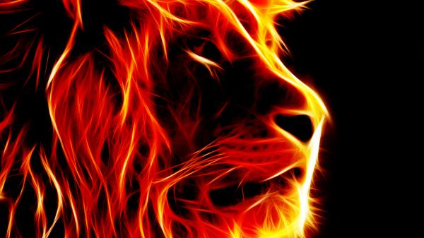 Free artistic lion face like fire flame hd lion wallpaper download