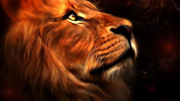 Free artistic lion hd lion wallpaper download