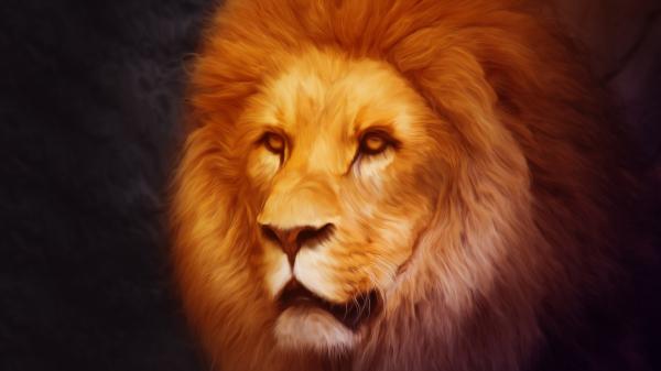 Free artistic lion portrait 4k 5k hd lion wallpaper download