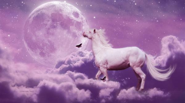 Free artistic picture of horse with moon and stars hd horse wallpaper download