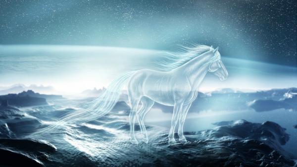 Free artistic picture of horse with sky and stars background hd horse wallpaper download