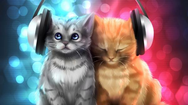 Free artistic picture of kittens with headphone hd kitten wallpaper download