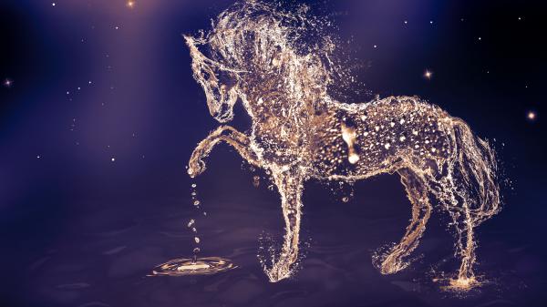 Free artistic water horse 4k 5k hd horse wallpaper download