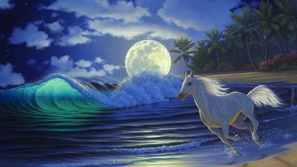 Free artistic white horse with sea moon and trees background hd horse wallpaper download