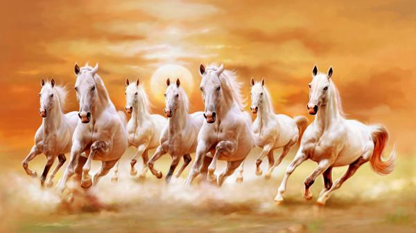 Free artistic white horses with sunset background hd horse wallpaper download