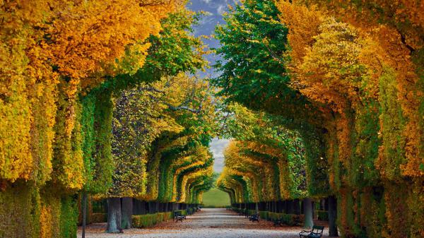 Free austria fall foliage garden schonbrunn palace vienna hd travel wallpaper download