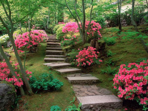 Free azaleas japanese garden wallpaper download