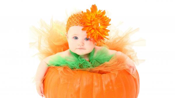 Free baby girl wearing orange and green netted frock and sitting in pumpkin hd cute wallpaper download