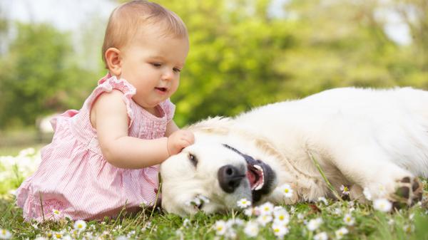 Free baby playing with dog 4k 5k hd cute wallpaper download