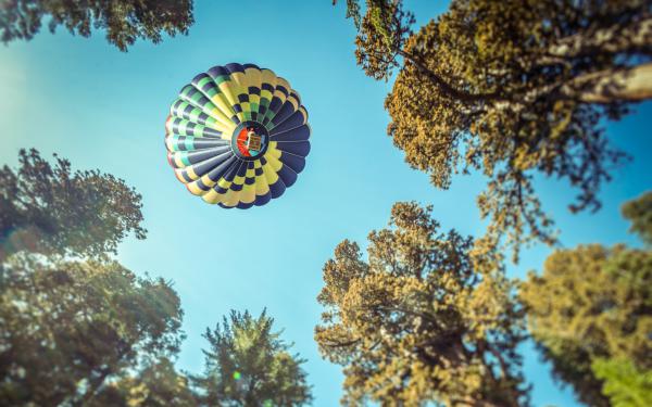 Free ballon ride over forest 4k wallpaper download