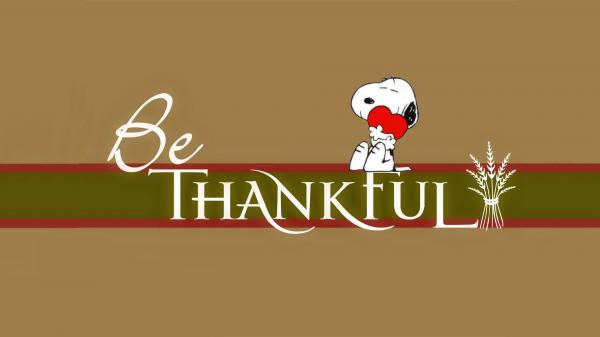 Free be thankful hd thanksgiving wallpaper download