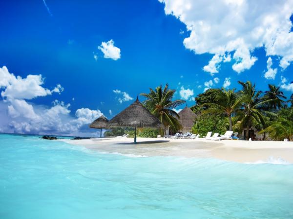 free beach life wallpaper download