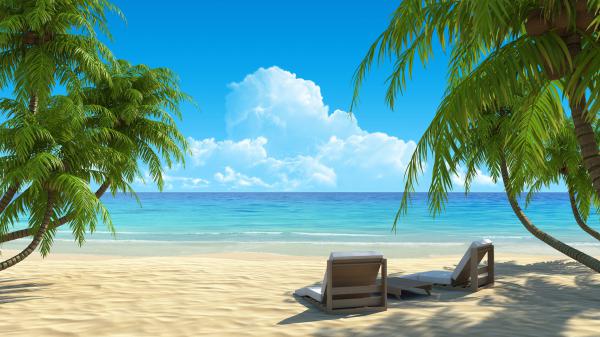 free beach relaxing chair on sand with palm trees each side hd beach wallpaper download