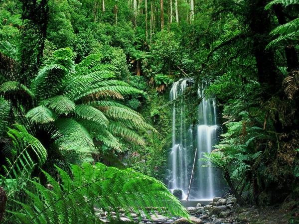 Free beauchamp falls australia wallpaper download