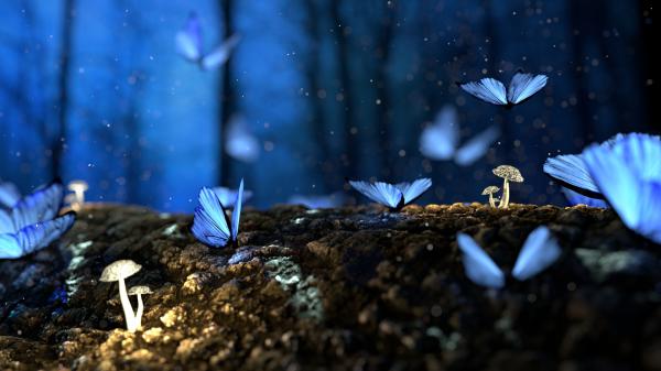 Free beautiful butterfly blur 4k hd wallpaper download