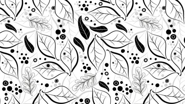 Free black and white leaf pattern hd abstract wallpaper download