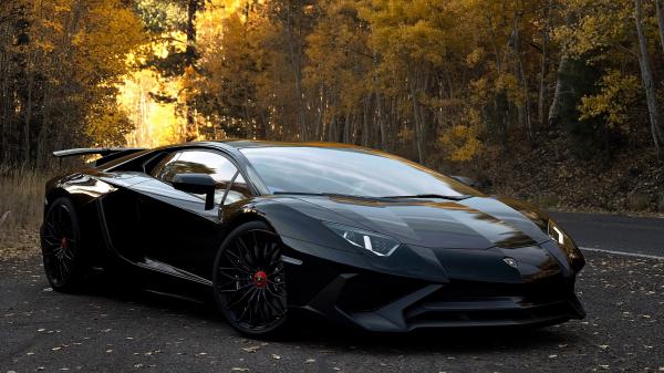 Free black lamborghini aventador 4k hd wallpaper download