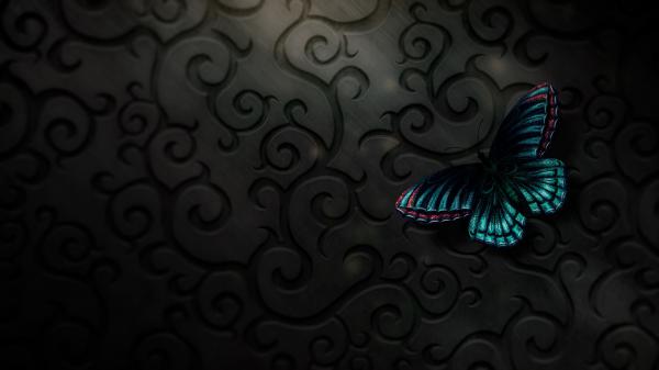 Free black texture digital art butterfly hd abstract wallpaper download