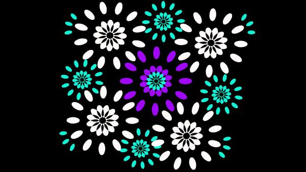 Free black white flower shapes hd abstract wallpaper download