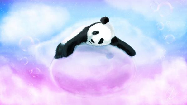 Free black white panda on bubble hd panda wallpaper download