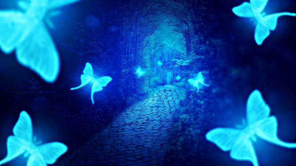 Free blue butterfly abstract hd abstract wallpaper download