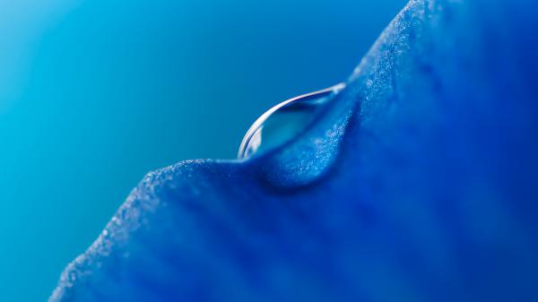 Free blue droplet honor magicbook stock wallpaper download