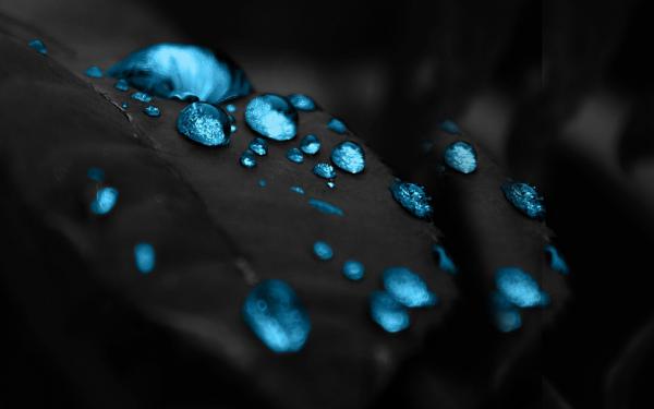 Free blue droplets wallpaper download